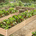 Natural Raised Garden Bed Elevated Planter Box with Open Bottom, 97”L x 25.5”W x 10”H Wooden Growing Bed for Garden Patio Yard