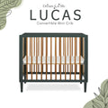 Dream on Me Lucas Mini Modern Crib with Rounded Spindles I Convertible Crib I Mid - Century Meets Modern I Portable Crib