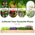 Natural Raised Garden Bed Elevated Planter Box with Open Bottom, 97”L x 25.5”W x 10”H Wooden Growing Bed for Garden Patio Yard